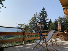 Das Haus Steger zu Stein